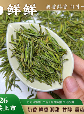 白鲜鲜浙江新茶白叶一号绿茶