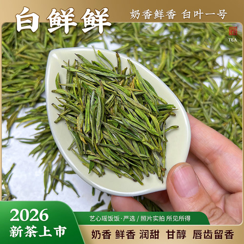 白鲜鲜浙江新茶白叶一号绿茶