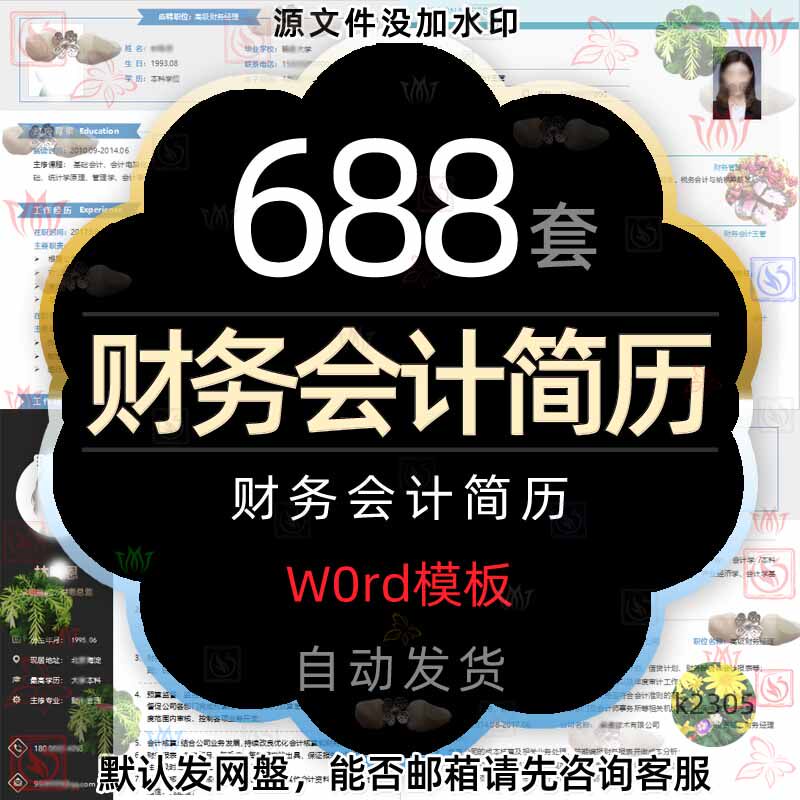 财务主管财务总监经理会计师出纳员审计员面试个人简历word模板2