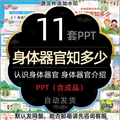 幼儿园身体器官知多少PPT模板医学了解人体器官认识身体器官结构2