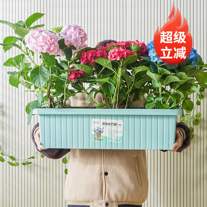 种菜专用盆长方形塑料花盆蔬菜种植箱阳台楼顶养花神器户外大花箱,鲜花速递/花卉仿真/绿植园艺,花盆,淘宝优惠券,粉丝福利购,淘宝优惠卷