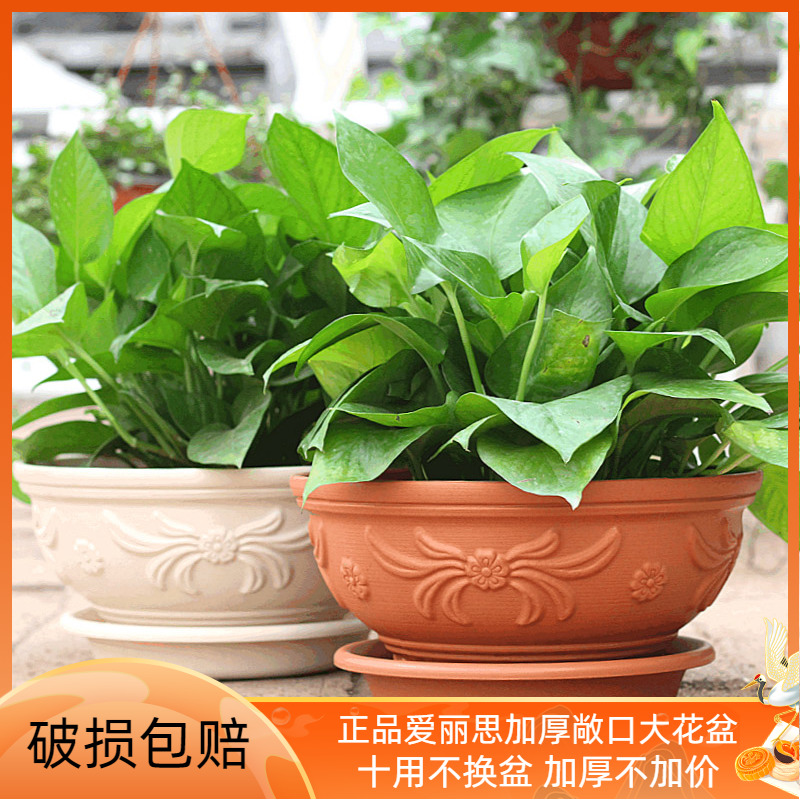 专用绿萝花盆塑料盆室内加厚树脂