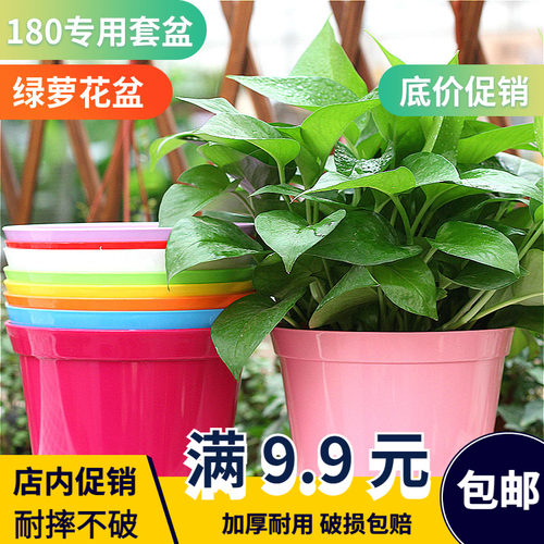 绿萝盆无孔田园工位花盆塑料