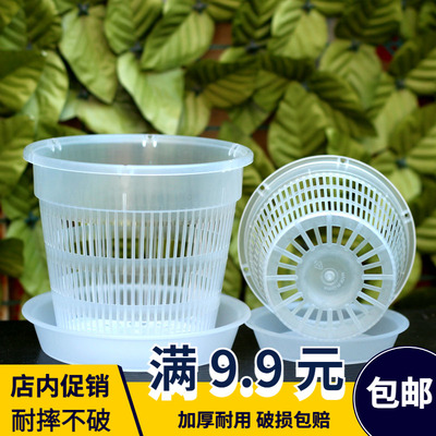 控根透气透明蝴蝶兰花盆树脂
