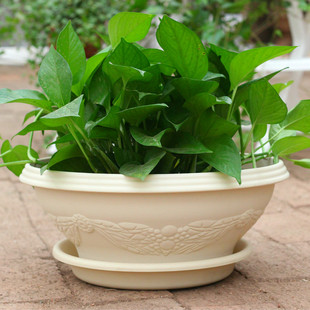 爱丽思树脂绿萝花盆圆形大号特大号清仓室内加厚盆栽简约创意包邮
