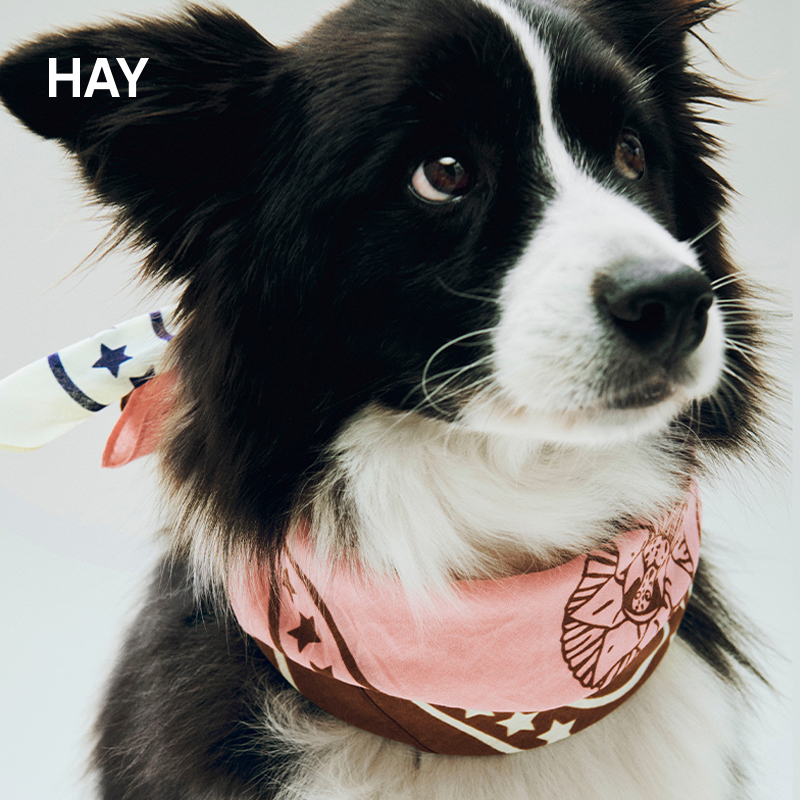 HAY Dogs Scarf 围巾 宠物三角围巾 柔软可爱个性宠物用品