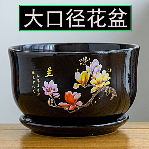 国潮风蝴蝶兰陶瓷花盆
