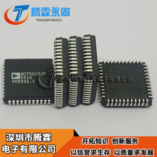AD75019JP 散新 保质量 AD75019JPZ PLCC 现货热卖供应 AD75019
