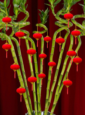 小灯笼挂饰树上盆栽乔迁之喜装饰发财树转运富贵竹家里盆景小挂件