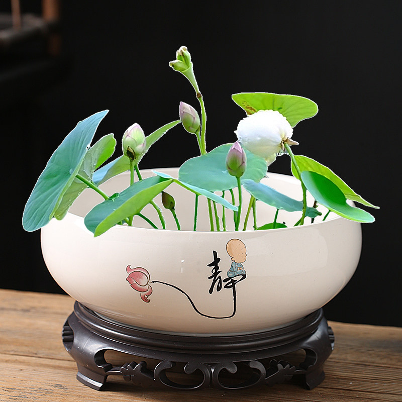 碗莲专用盆缸铜钱草睡莲一叶莲水仙花盆金钱草水培植物盆无孔陶瓷