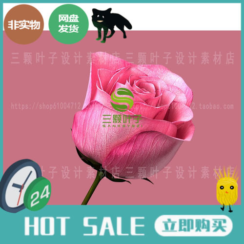 C4D高品质玫瑰花3D模型 开花动画 obj/fbx/stl/abc 植物素材代下