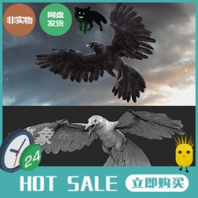MAYA素材影视级带绑定乌鸦鸟类内脏结构解剖 3d模型资产 Xgen毛发