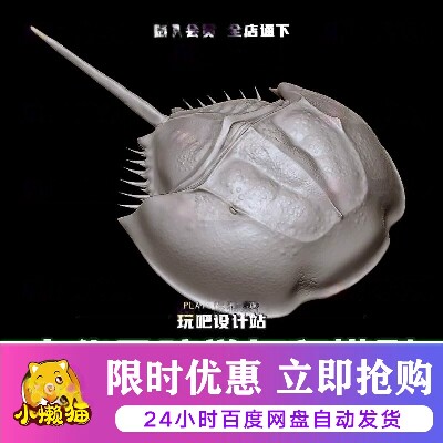 马蹄蟹中华马蹄鲎STL三维模型3D打印圆雕图纸C4D动物手办建模参考