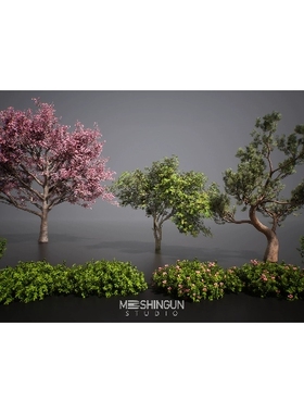 UE5.1中式园林植物梅花松柏树灌木Nanite Foliage Vol2 Asian