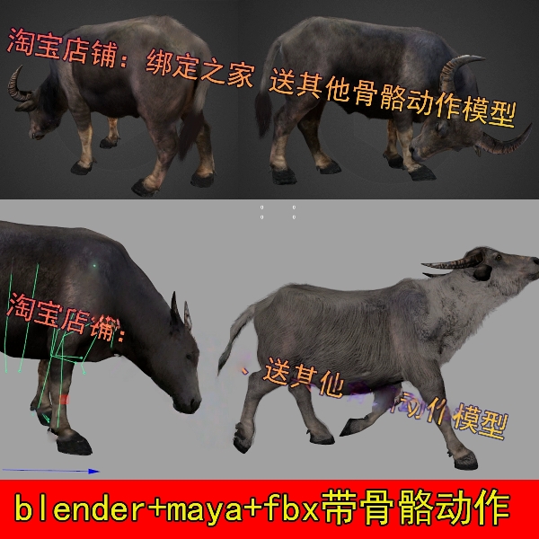 maya写实水牛耕牛模型blender牛犊带骨骼动作fbx走路休闲动画25秒