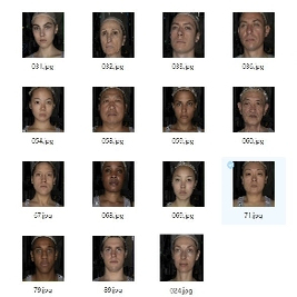 VFACE扫描皮肤贴图16K PBR资源 颜色 置换 遮罩贴图 含头部3D模型