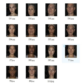 VFACE扫描皮肤贴图16K PBR资源 颜色 置换 遮罩贴图 含头部3D模型