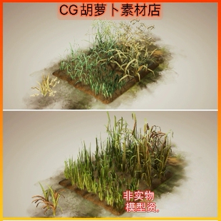 Unity Wild Harvest Grain Crops 2.1 农作物粮食小麦玉米模型