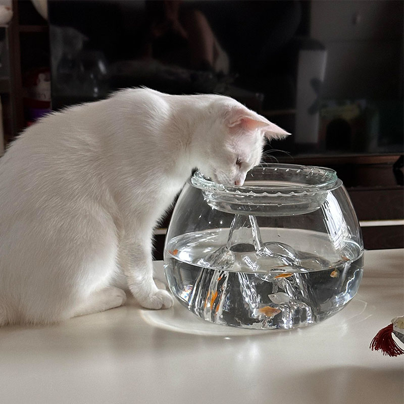 鱼缸猫碗大口径猫咪喝水神器保护颈椎防打翻猫食盆防黑下巴水碗