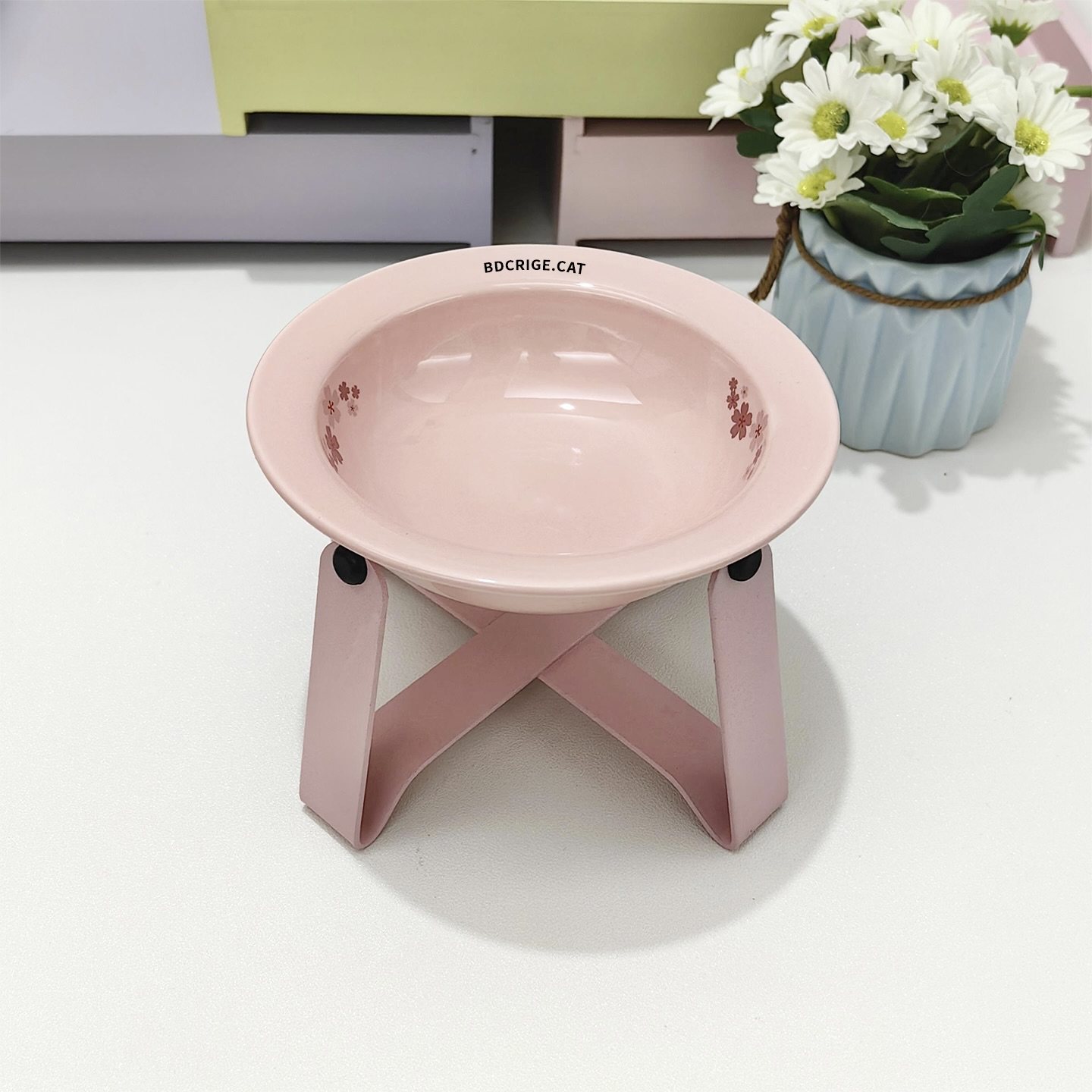BRIDGE.CAT飞碟猫碗狗碗架护颈防打翻宠物碗猫咪罐头喝水碗小食盆,宠物/宠物食品及用品,猫狗碗/慢食碗,淘宝优惠券,粉丝福利购,淘宝优惠卷