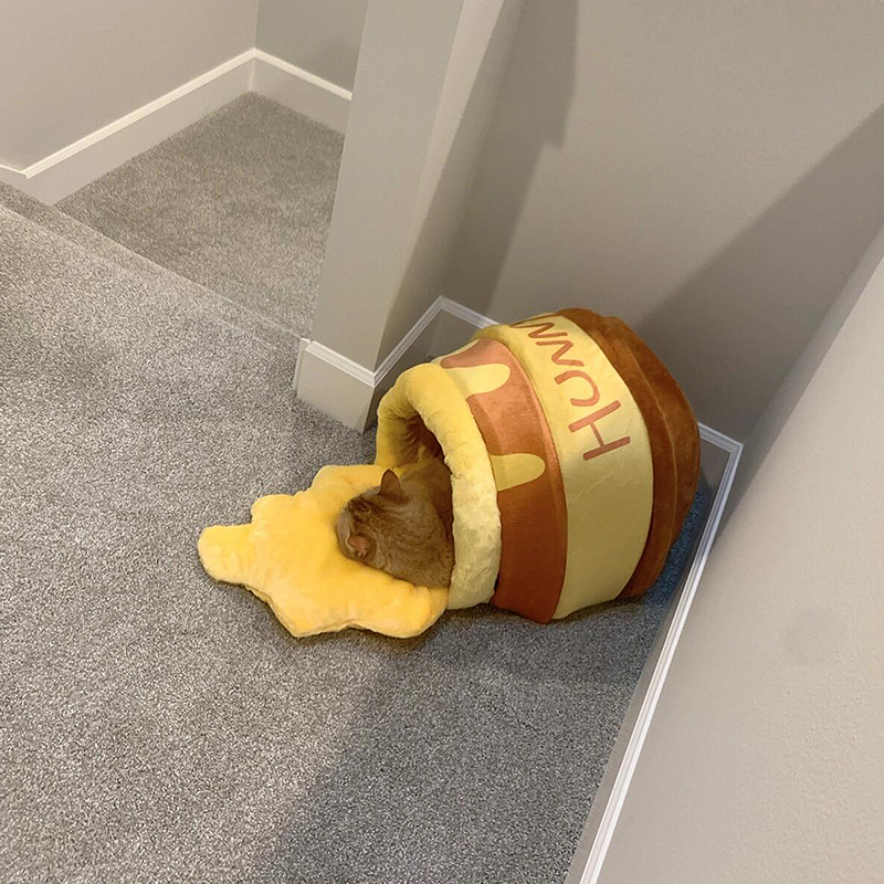 蜂蜜罐猫窝冬天保暖封闭式安全感小幼猫垫子包裹式防寒猫床网红款