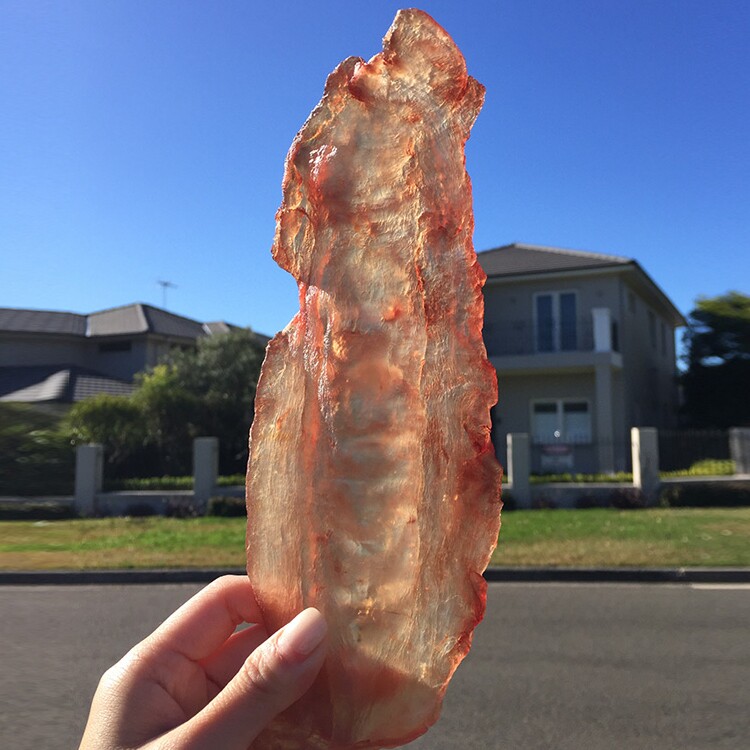 倩妈咪新西兰深海花胶干货正品鱼胶孕妇滋补鱼肚红一280克10年