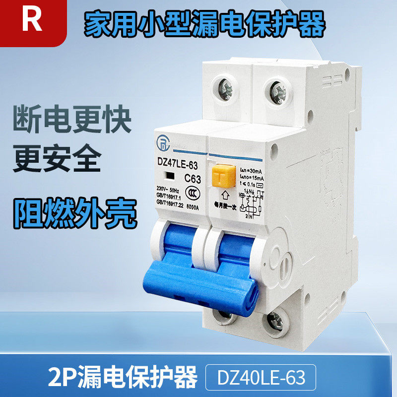 DZ40LE小型漏保精品款漏电开关2p空气开关总闸充电桩开关家用正品