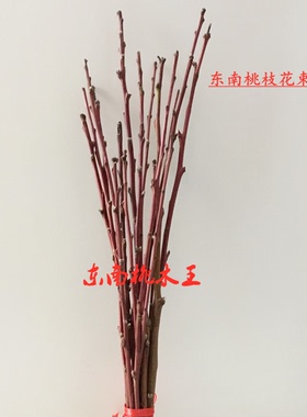 东南枝桃木枝天然野生毛桃枝条