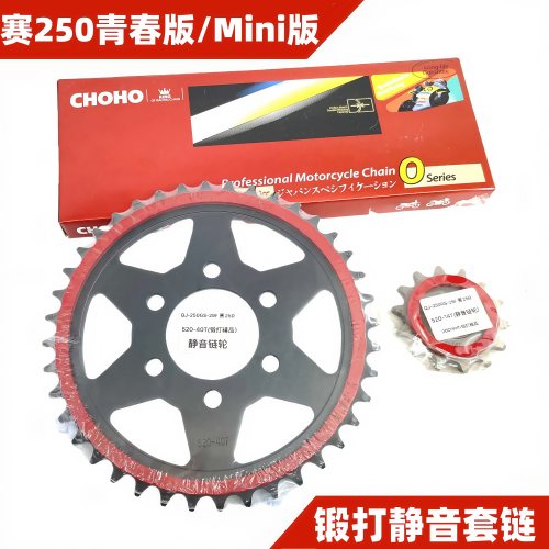 适用钱江赛250青春版mini版QJ250GS-29F改装静音牙盘征和油封链条
