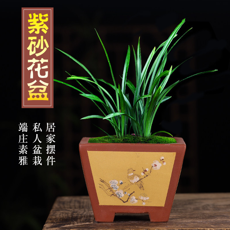 紫砂花盆特大号四方盆景盆长方阳台种菜盆栽花卉清仓特价包邮陶瓷