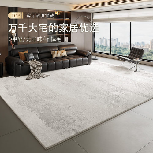 地毯客厅2026新款轻奢高级免洗