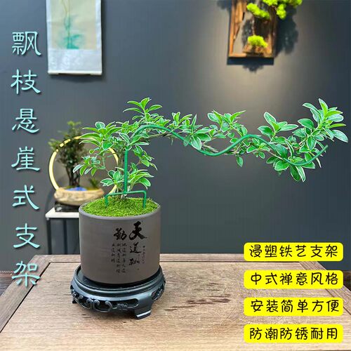 植物造型花架禅意造景美出新空间