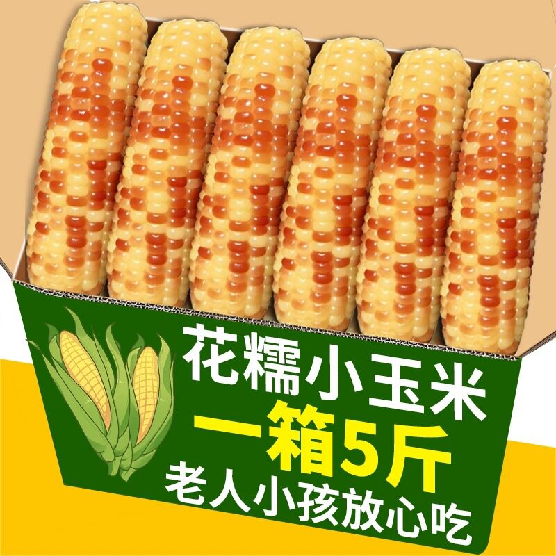 山姆冠必买5斤 云南西双版纳香糯小玉米即食真空新鲜傣家甜糯玉米