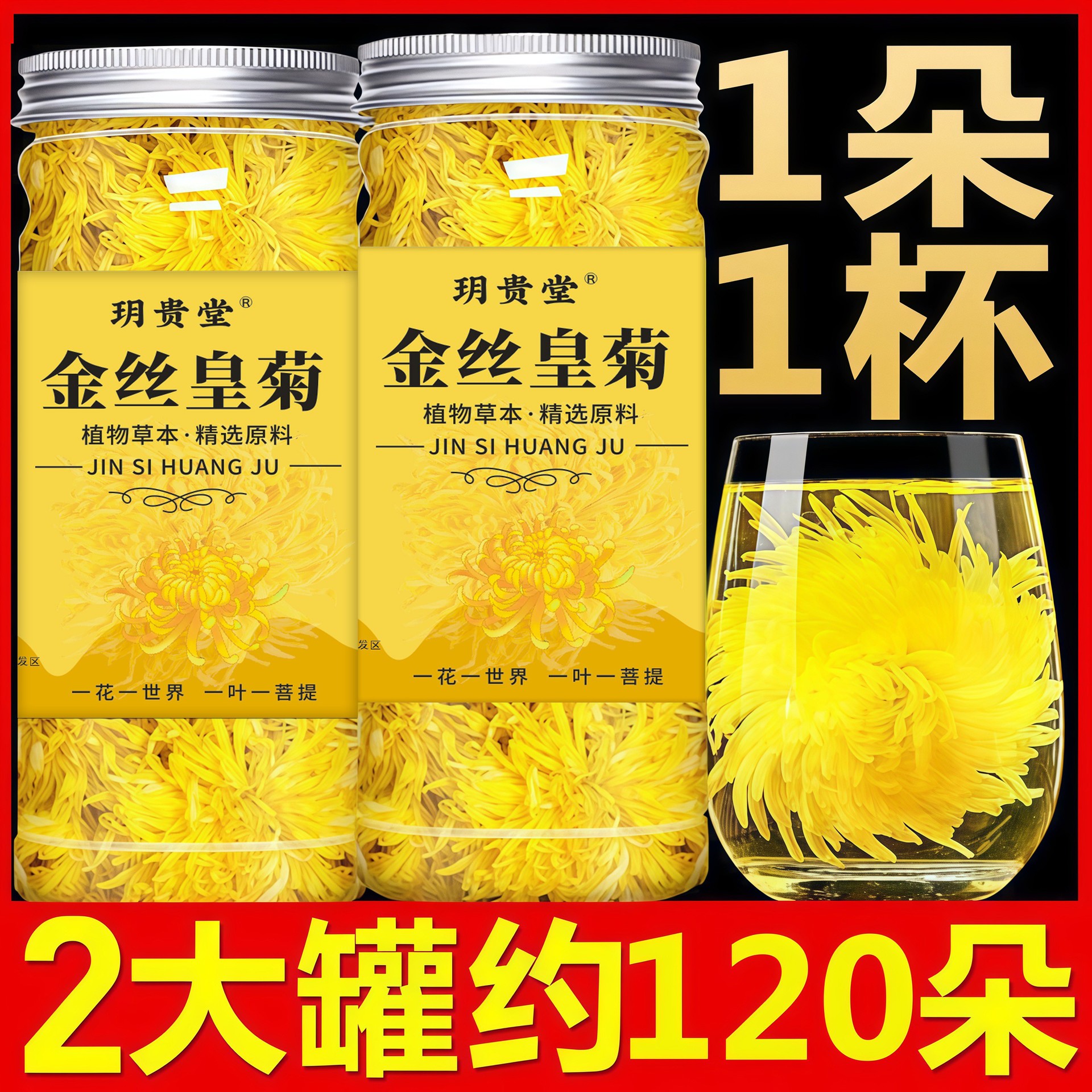 山姆必买菊花茶火气大茶金丝皇菊黄菊一朵一杯大菊花贡胎菊罐装花