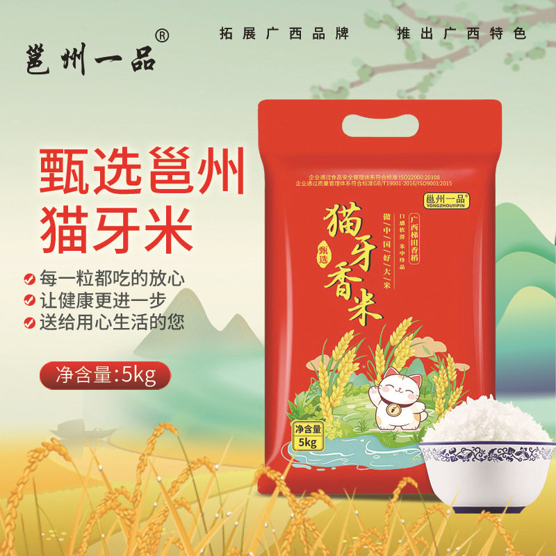 山姆冠必买正宗猫牙米10斤一袋超长粒大米 广西丝苗米香米新米煲