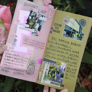 unimoco艺术家合作标准TN款 彩色硫酸纸艺术纸混合内页 手帐内芯