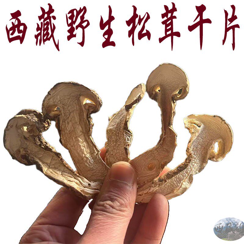 西藏直发正品100克包邮 西藏松茸/冻干松茸
