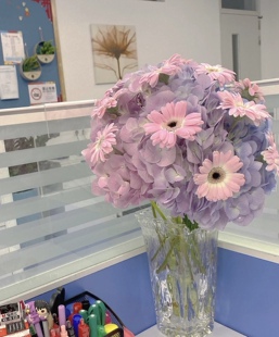 新森林组合小清新绣球组合 嫣 鲜切花 云南基地直发精选优选顺丰