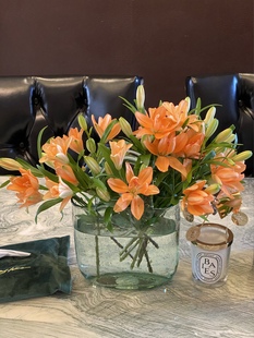 多头重瓣小蜜蜂百合金色橙色百合无香味百合家养鲜花云南