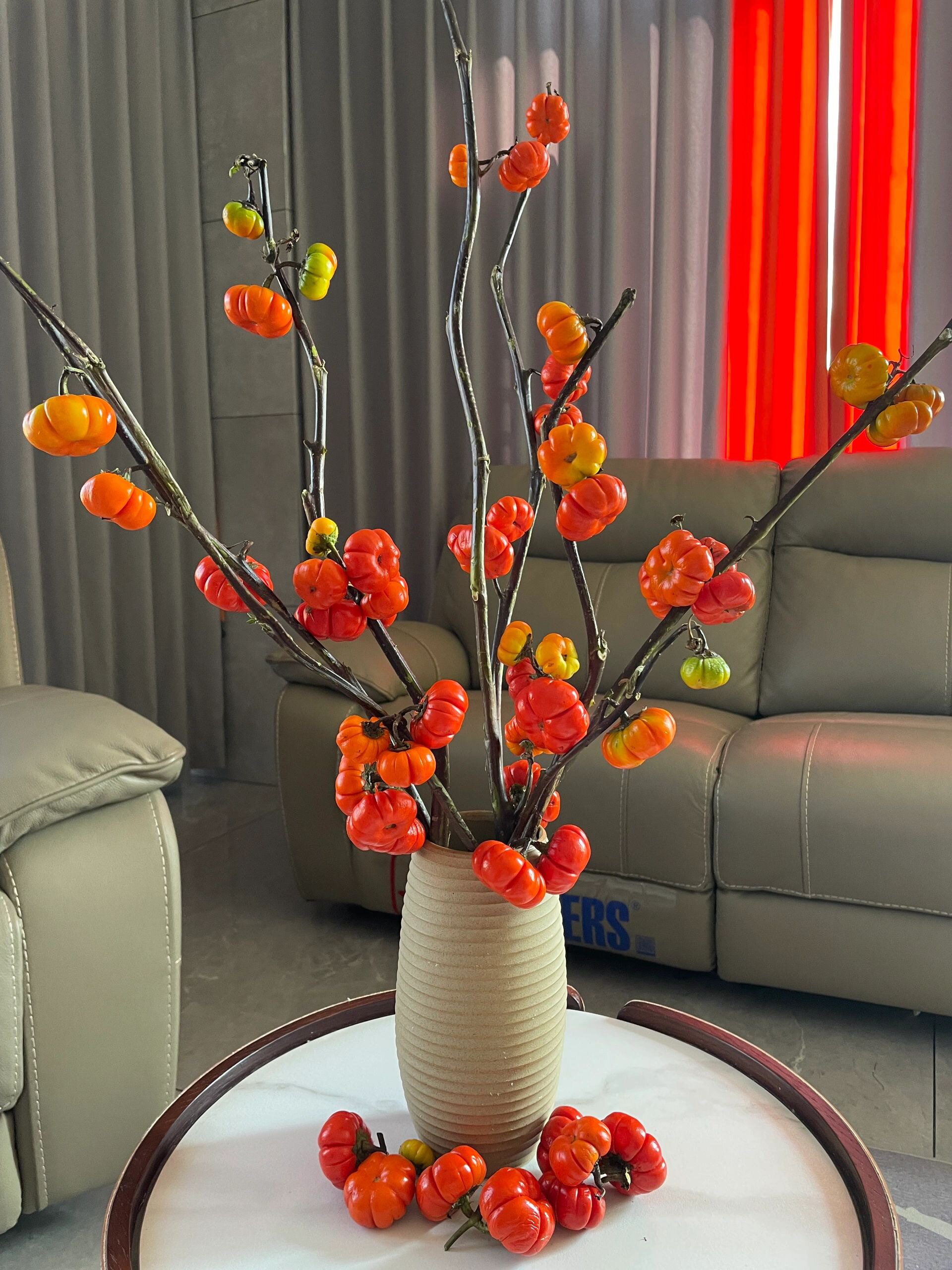 小南瓜鲜花观赏插花花束水培干花切枝花卉室内水养绿植物装饰摆件