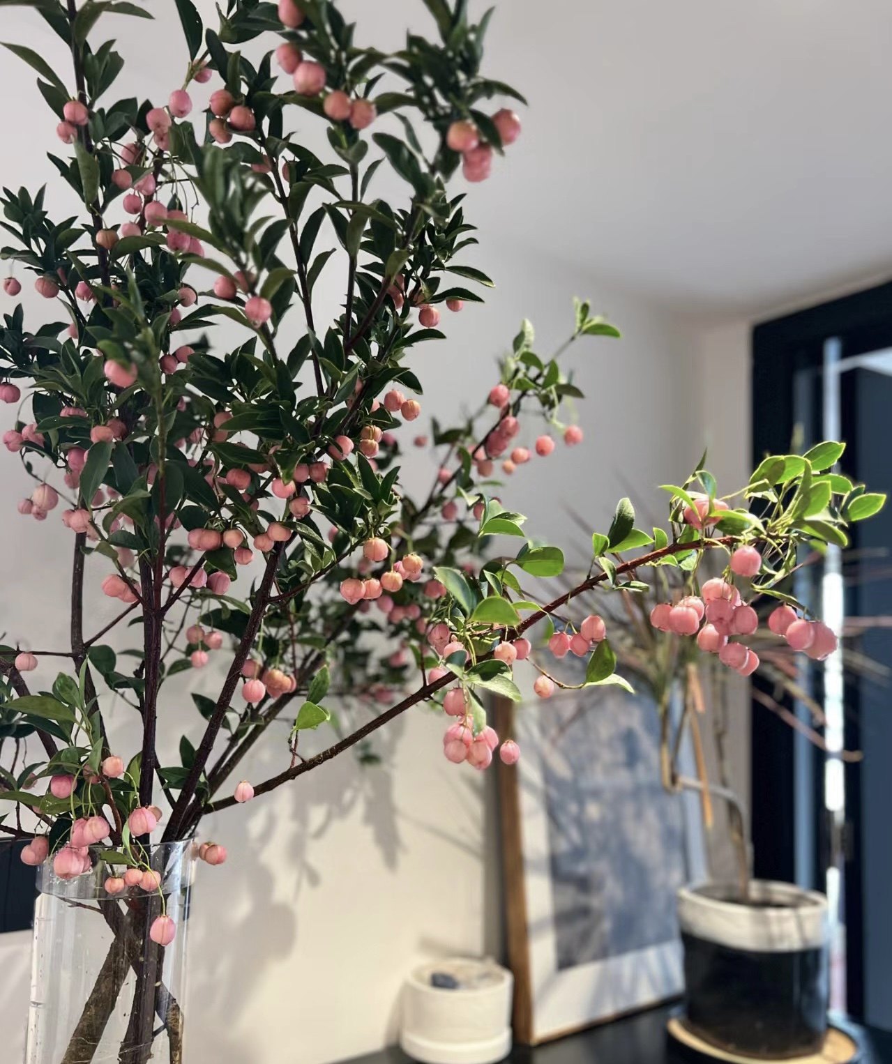 基地现采现发高端优质鲜切花灯笼果海棠果精选优质鲜切花图片