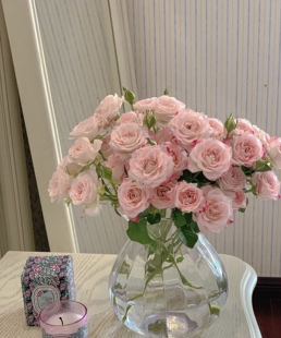 新森林鲜花基地现采现发甄选优质玫瑰多头泡泡人鱼公主鲜切花顺丰