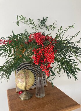 南天竹带果云南鲜花基地直发餐桌店铺办公室水养装饰花材顺丰快递