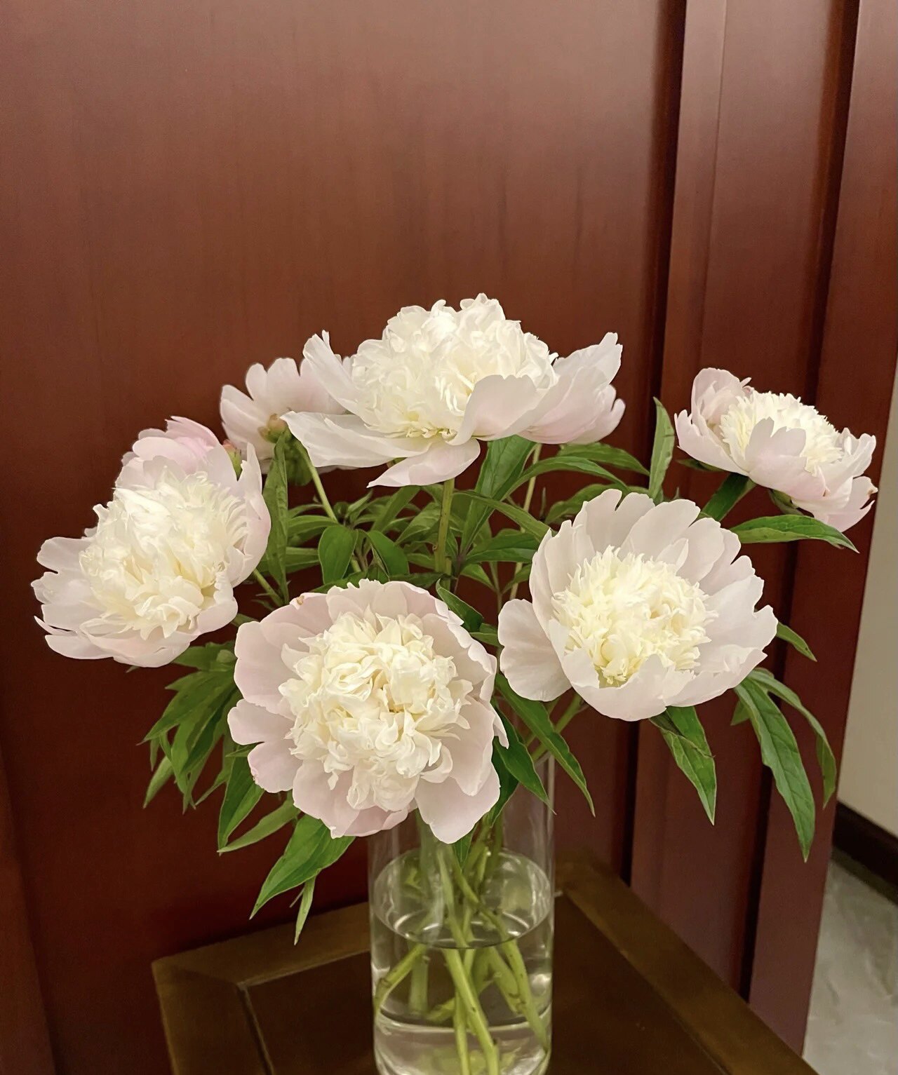 鲜切花四川重瓣芍药云南基地直发昆明斗南家用水养插花束白粉顺丰