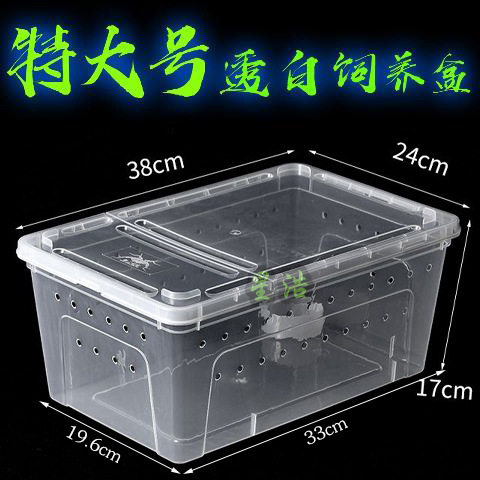 特大饲养盒乌龟宠物箱蚕宝宝蜘蛛