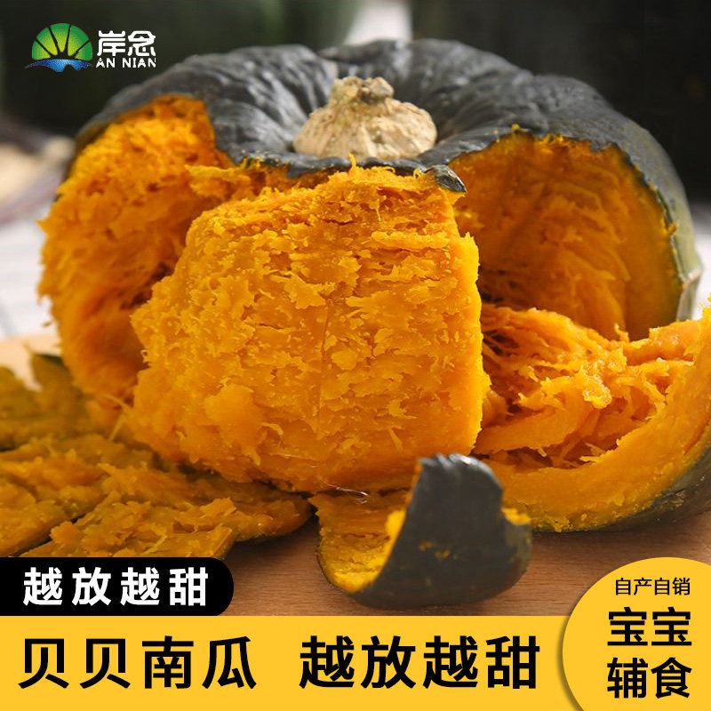 正宗贝贝南瓜新鲜粉糯板栗味孕妇宝宝辅食营养粗粮粉糯香甜小南瓜