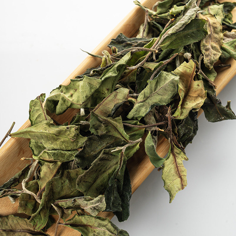 初晓2024年景迈山古树白茶大树茶普洱生茶散茶香甜爽口礼盒装