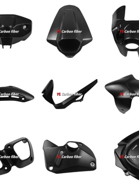 适用Ducati杜卡迪怪兽Monster 821 1200改装碳纤维外壳配件导流罩