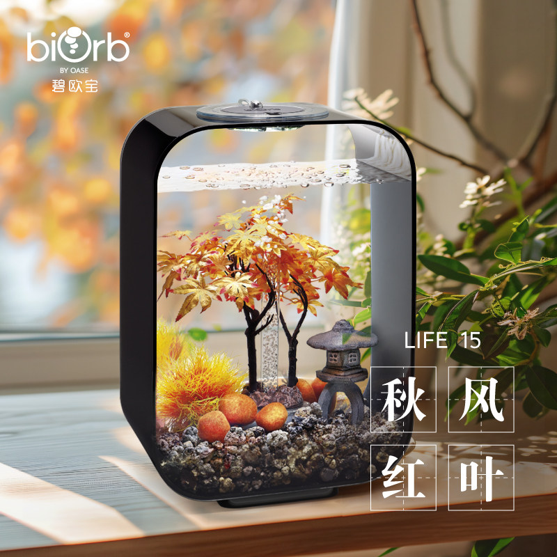 英国小型创意碧欧宝生态水族箱鱼缸礼物定制贺卡2026新款秋风红叶