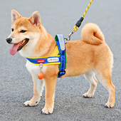 背心式 狗狗牵引绳中小型犬柴犬柯基比熊可调节宠物胸背带遛狗绳子
